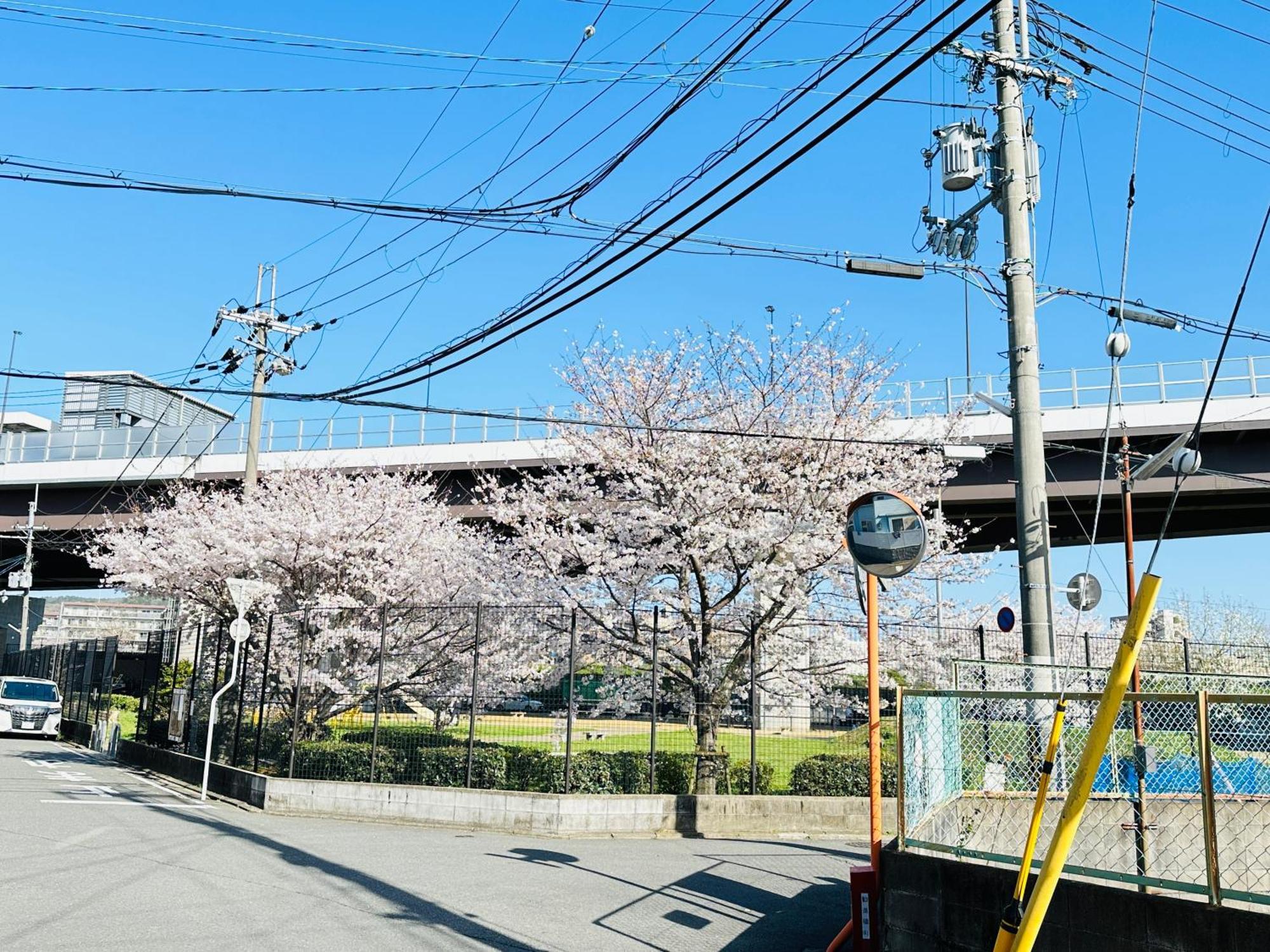 - ki no 宿 ut - 新築 戸建て 最大 7 a まで 宿泊 可能 Tora 街 駅 まで 徒歩 10 分 Kjóto Exteriér fotografie